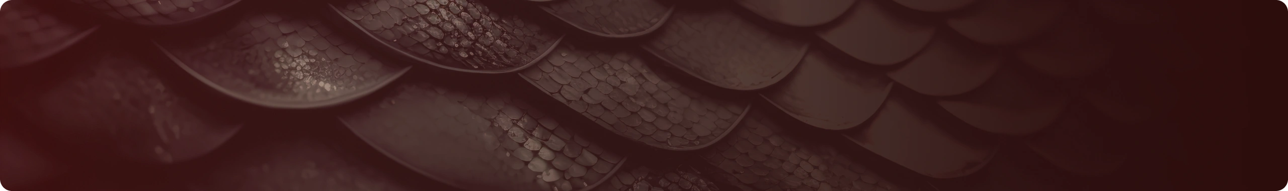 Dragon Slots Εγκαταστήστε το